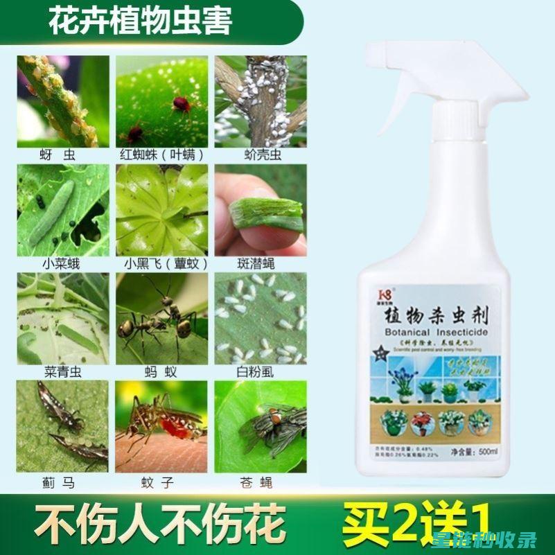 植物驱虫：让害虫远离，让健康回归 (植物 驱虫)