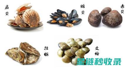 贝类吐沙：海洋生物的自我调节之道 (贝类吐沙时,在水里放入什么会有奇效?)